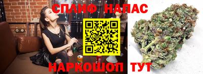 ECSTASY Обнинск