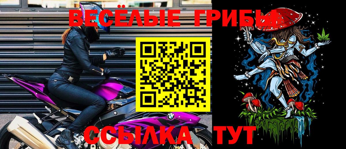 Галлюциногенные грибы MAGIC MUSHROOMS Рязань
