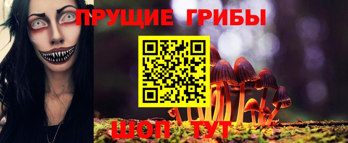 Рязань  Псилоцибиновые грибы Cubensis  Псилоцибиновые грибы Cubensis  Вход с VPN 